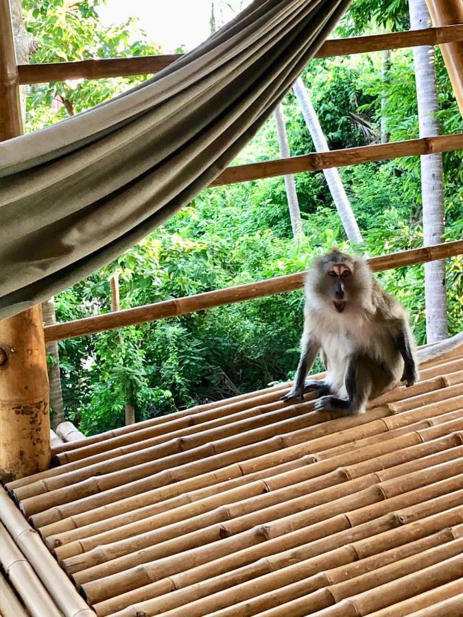 Kalulushi Bungalows Ko Pha Ngan Esterno foto